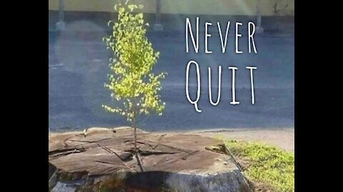 Never Ever Quit