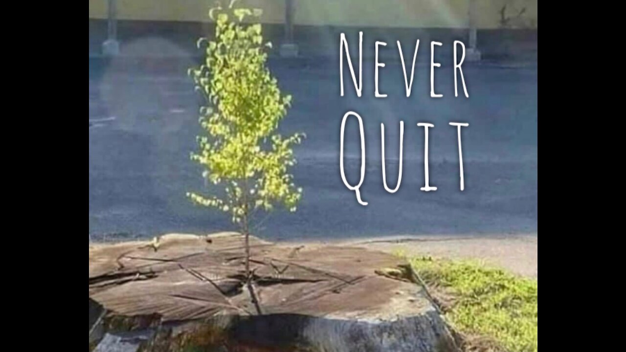 Never Ever Quit