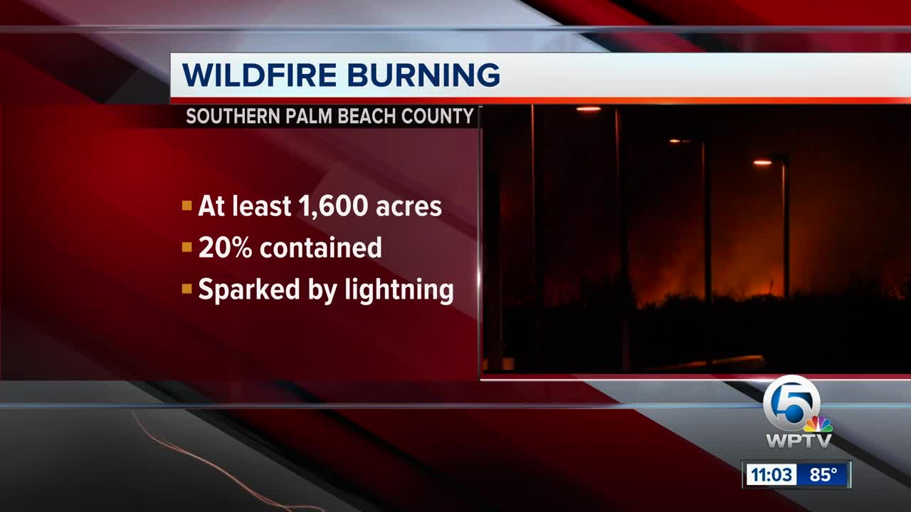 Wildfire burning in Everglades conservation area near Coral Springs