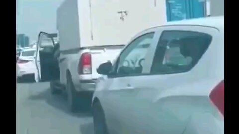 funny videos