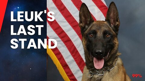 Hero Dog Leuk: From Battlefield Savior to Honored Funeral