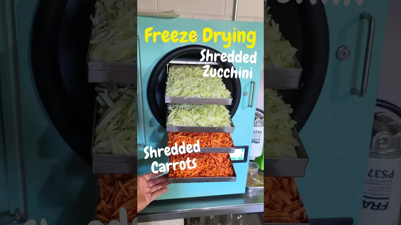 From Fresh to Forever: Freeze-Drying Shredded Carrots & Zucchini