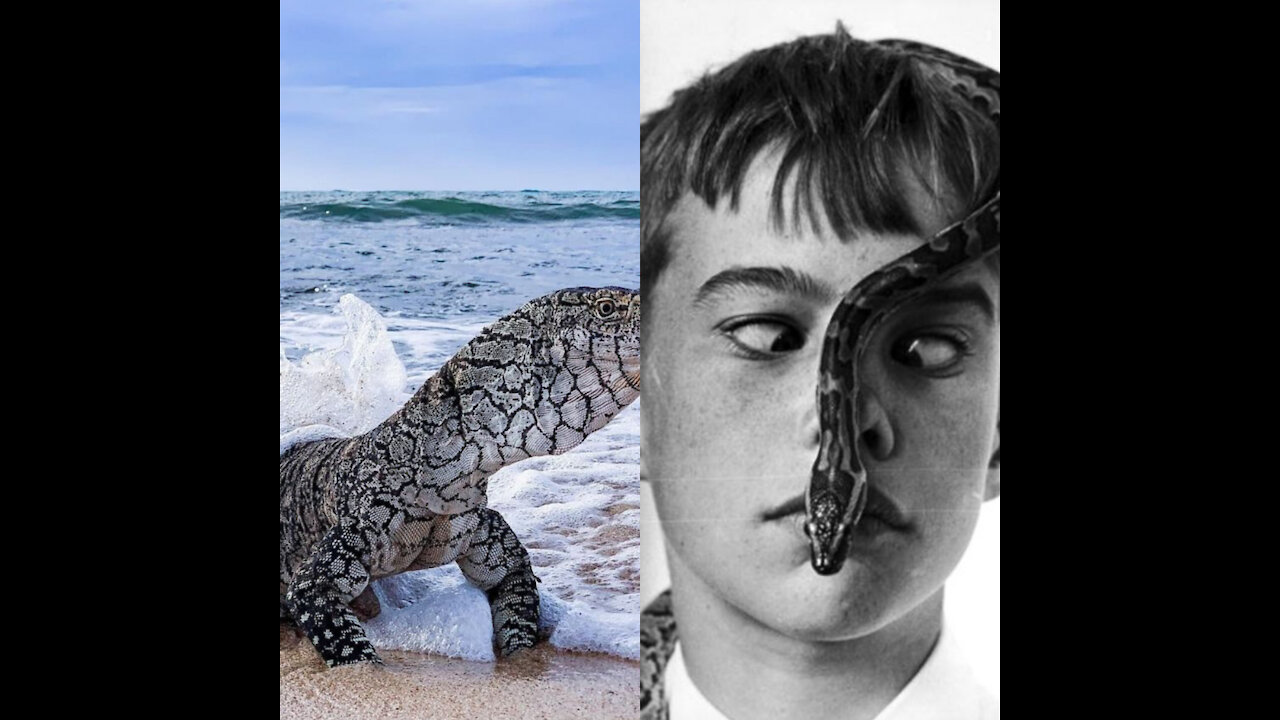 MAN WITH HIS PET SNAKE 9#SHORTS
