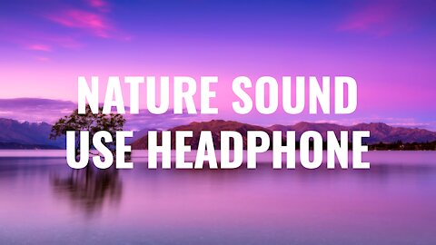 🎧 Relaxing Jungle Sound With Birds, Nature -Meditation & Stress Relief | USE HEADPHONES