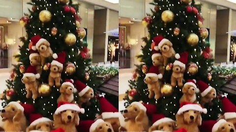 Happy funny dog krishmass make tree celibration 2021