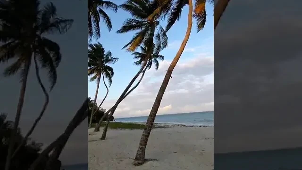 "paradise unveiled: Beach bliss in 60 seconds"