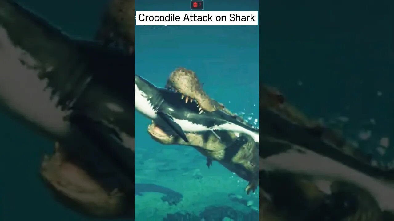 Crocodile Attack on Shark😱💯🔥👈 #crocodile #shorts #viral