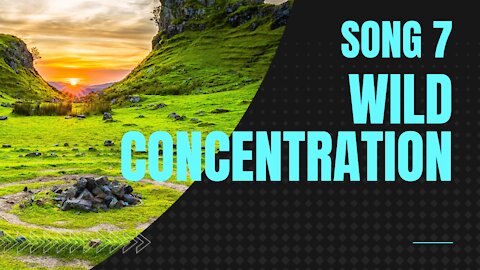 Wild Concentration (Song 7, piano, ragtime music)