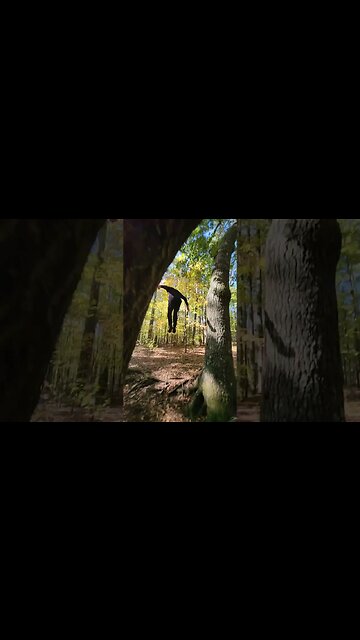 How many ways are there to get into a tree?