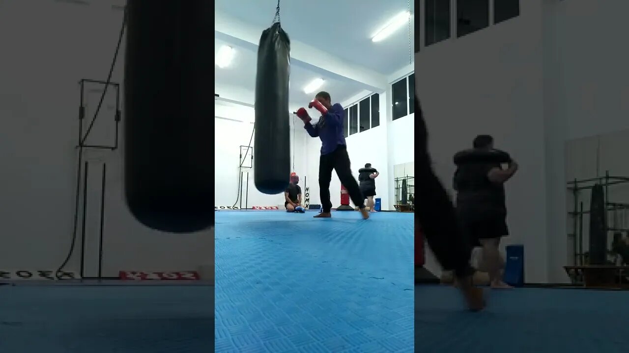 Punch And Elbow The Bag (8)