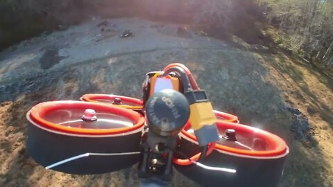 Cloud 149 cinewoop with insta 360 go 2 camera on my custom mount.
