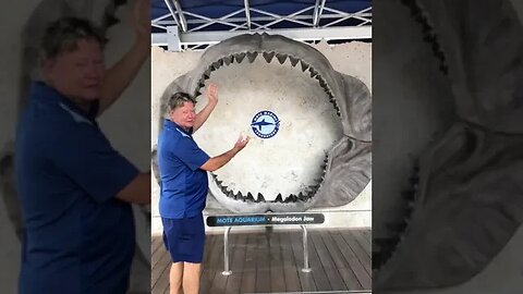2022 07 17 12 39 50 Shark Mouth