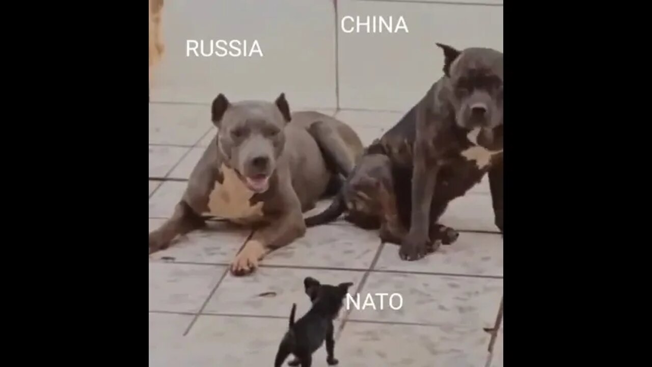 Russia China and NATO...... #shorts