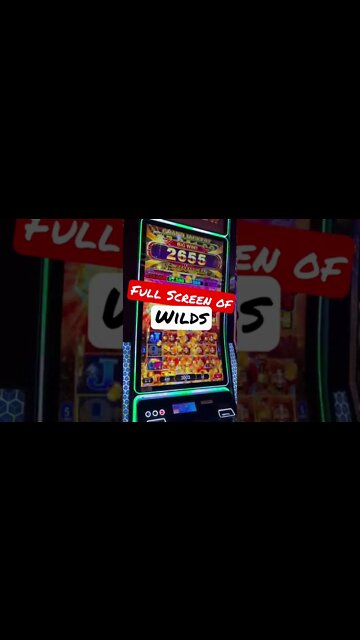 All ABOARD! MAX Bet! Wilds For DAYZZZ! #shorts