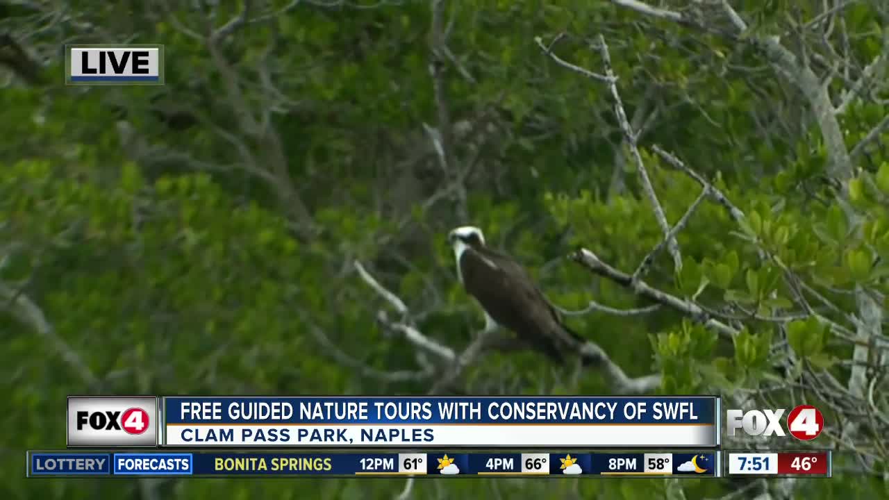 Naturalists with Conservancy of SWFL offer free guided walks