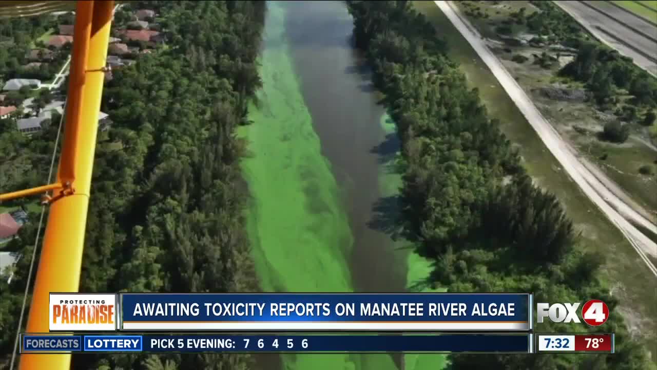 Latest water quality update in Southwest Florida