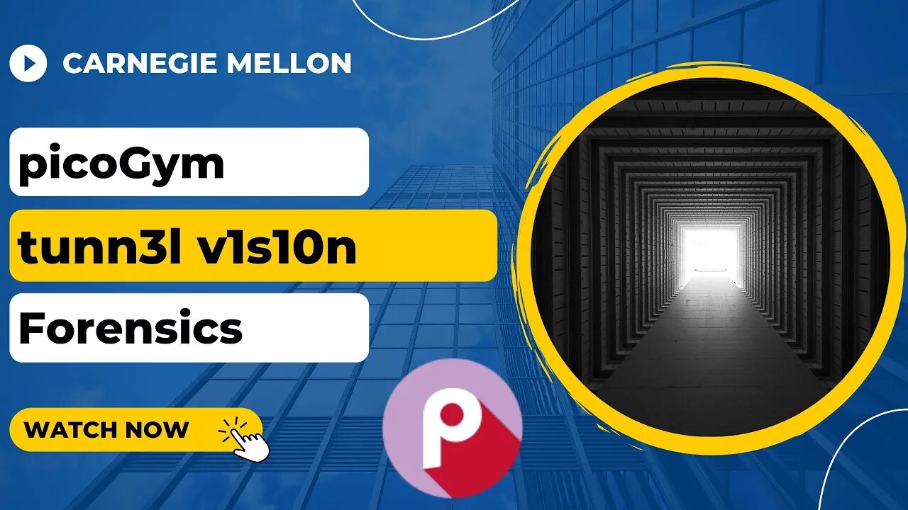 picoGym (picoCTF) Exercise: tunn3l v1s10n