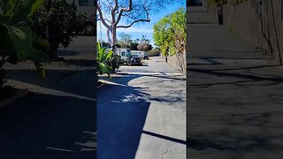 The only place to camp in Santa Barbara #shorts #vanlife #travel #trending #viral #california #usa