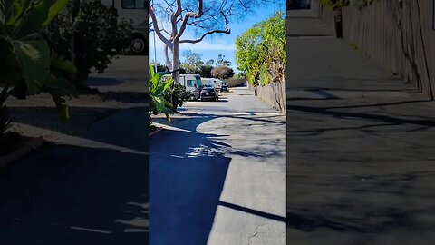 The only place to camp in Santa Barbara #shorts #vanlife #travel #trending #viral #california #usa