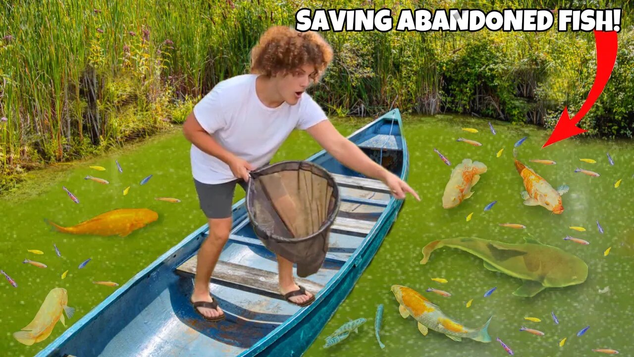 Saving Exotic AQUARIUM FISH From ABANDONED Pond!