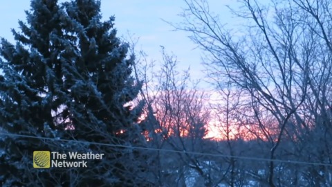 Sun peaks through the trees on a cold winter morning