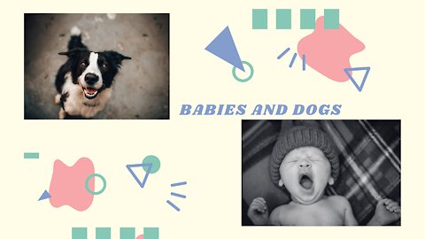 The magical world of babies and dogs