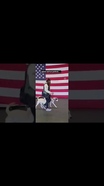 Ignore and Out Perform. #dog