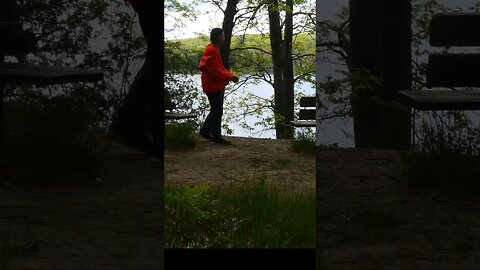 Birds Singing On The Wendat Hiking Trail #shorts #short