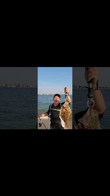 Summer Flounder #5 at 7am Jones Beach Baby!!