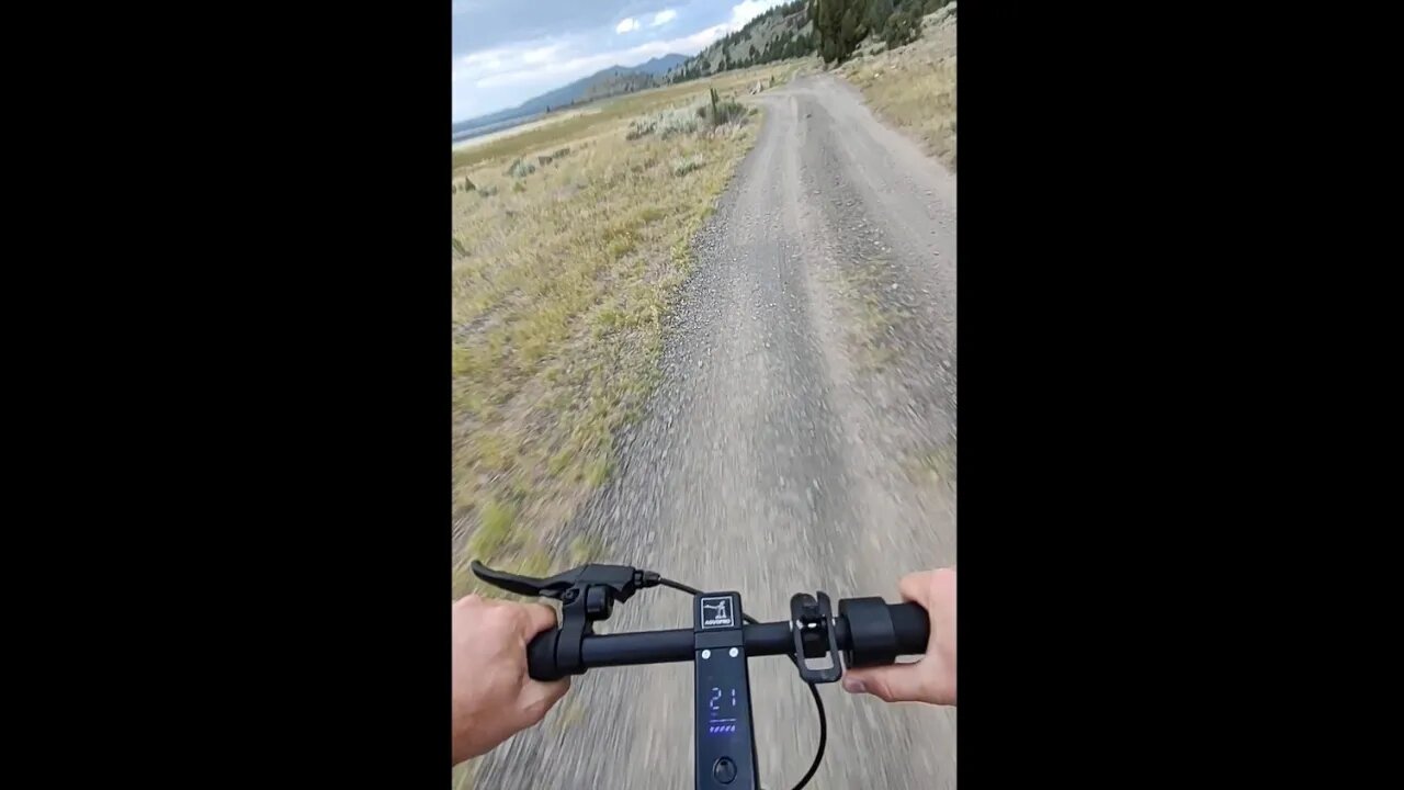 Scooter does 21 mph on dirt roads (cute dog warning)