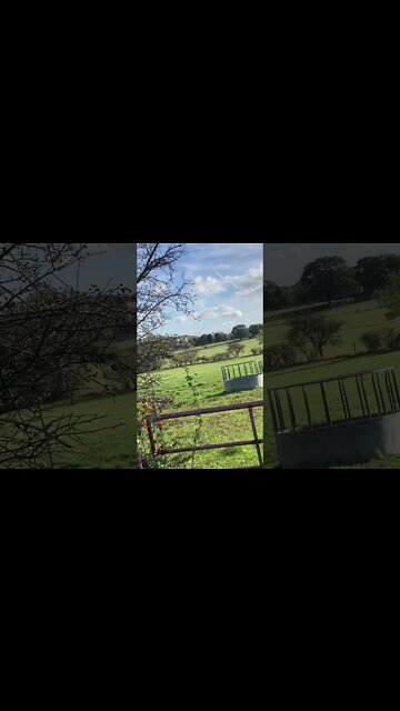 What is the correct a#thing to do these days.