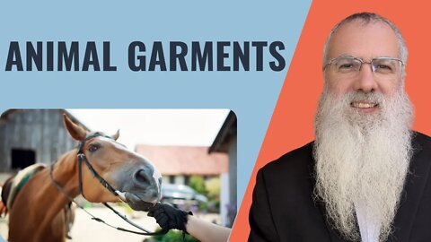 Mishna Shabbat Chapter 5 Mishnah 1 Animal garments