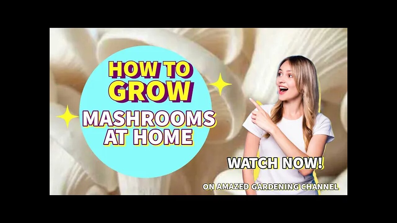 how to grow Mashroom at home I Mashroom Gardening at home I Mashroom Grow in balcony I #mashroom