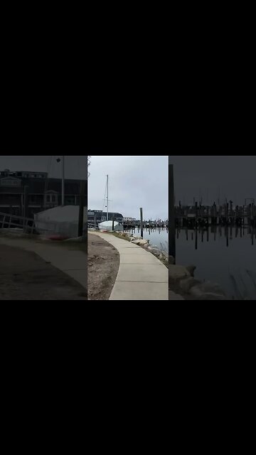 A dizzy walk down the river 🤣 #mystic #riverside