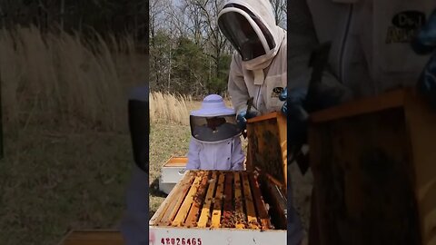 Don’ts of Junior Beekeeping! Thankfully this teaching moment ended well! No stings!