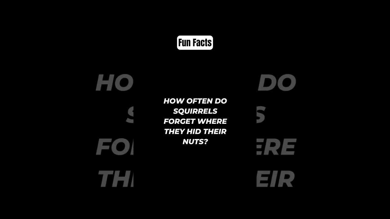 How often do squirrels forget where they hid their nuts? #shorts #funfacts #subscribe
