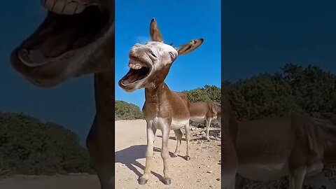 Good morning.. 🥱😅