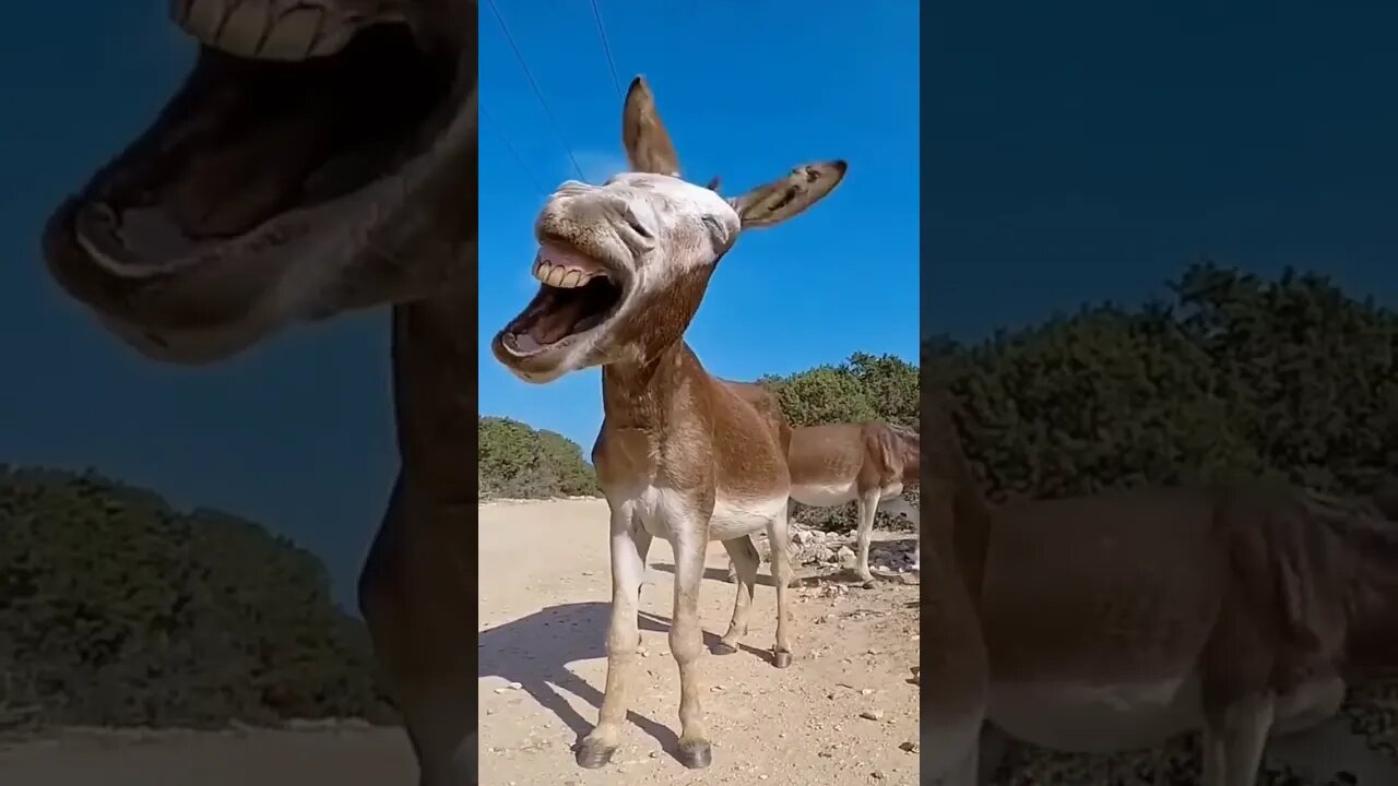 Good morning.. 🥱😅