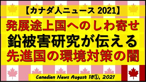 環境対策と言う名の先進国のエゴ 鉛被害研究が伝える途上国へのしわ寄せ
