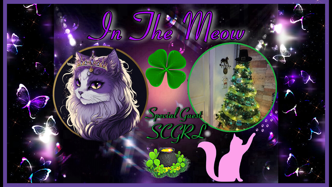 In The Meow | With Special Guest SCGrl