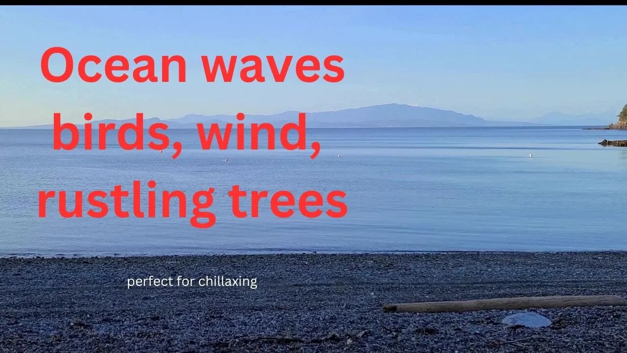 Ocean Waves, rustling trees, birds perfect for relaxation, yoga, meditation, reading, sleep, study.