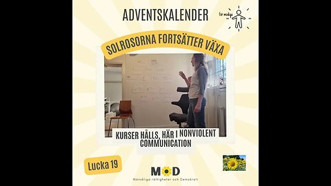 🌻 Lucka 19 Solrosorna fortsätter växa