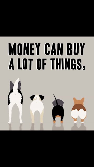 Money can buy a lot [GMG Originals]