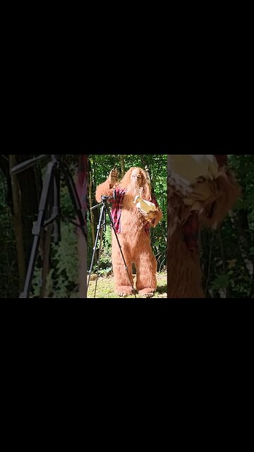 Bigfoot tries comedy