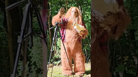 Bigfoot tries comedy