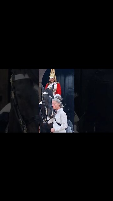 A very sweet horse wants to love #horseguardsparade