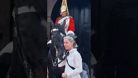 A very sweet horse wants to love #horseguardsparade