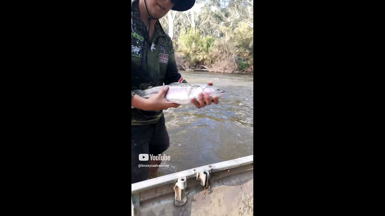 Rainbow trout released for another day