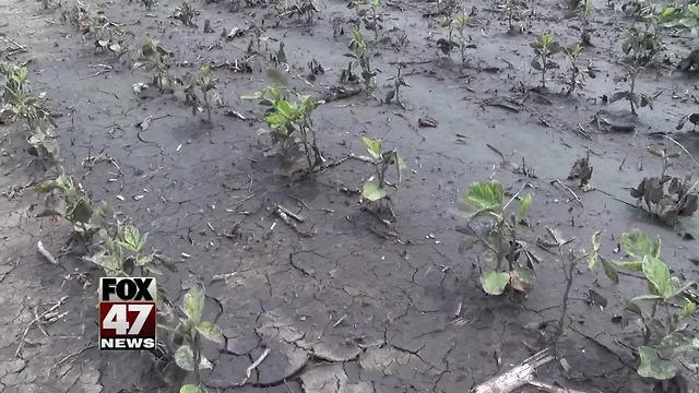 Farmers in 14 Michigan counties eligible for flood loans