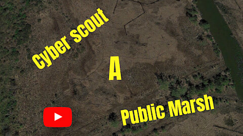 cyber scout a public marsh